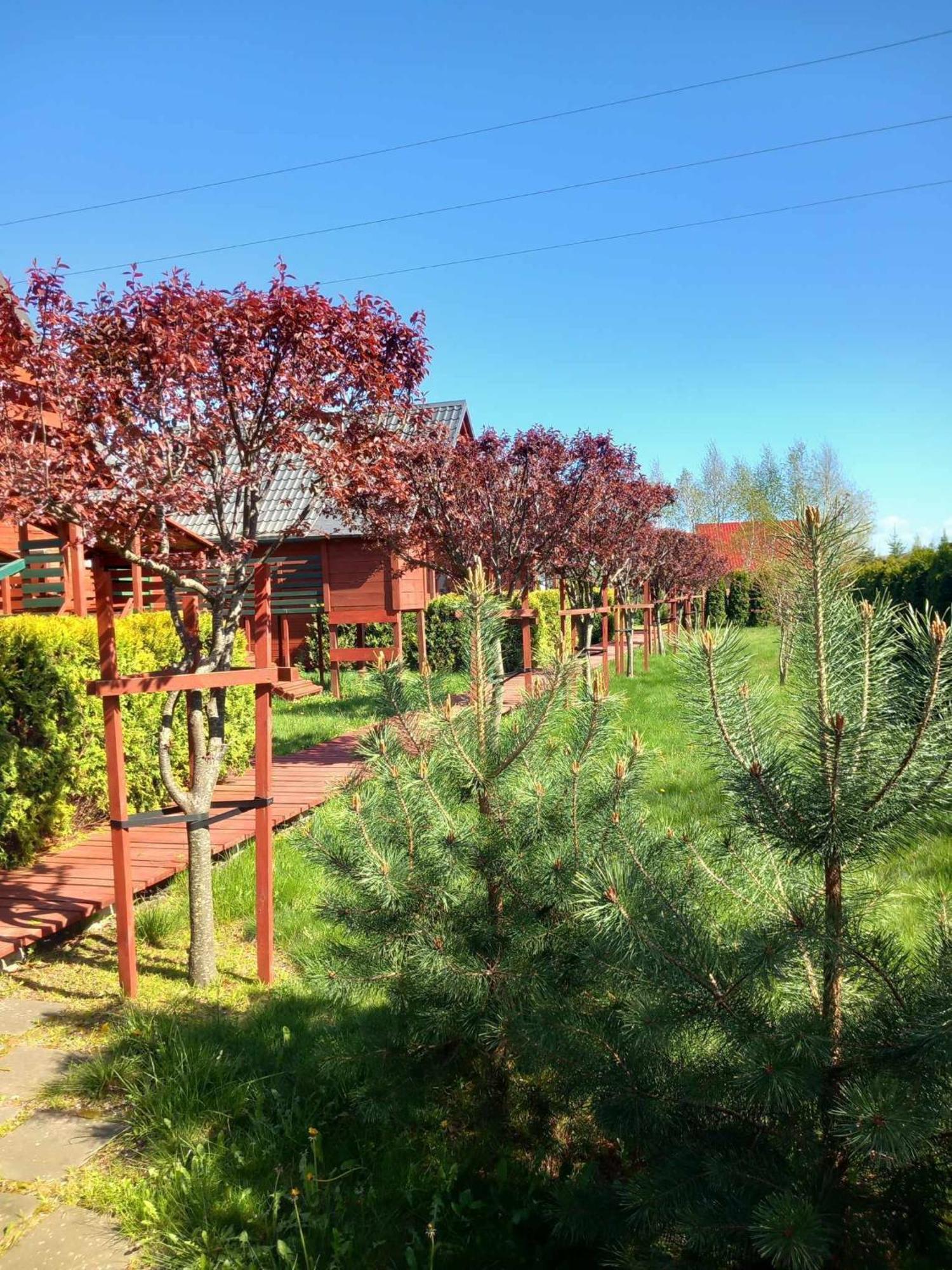 Villa Mandarynka Ow Jarosławiec Exterior foto